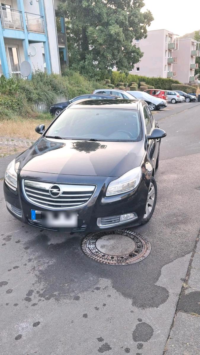 Opel Insignia 2013 — photo 11