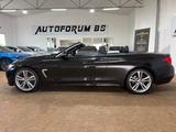 BMW Cabrio 420d AUTOMATIK/VOLLLEDER/GRA/SHZ/BI-XENON - BMW 420: Cabrio