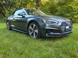 Audi A5 3.0 TDI V6 S tronic quattro Cabriolet  - Audi: Cabrio, V6