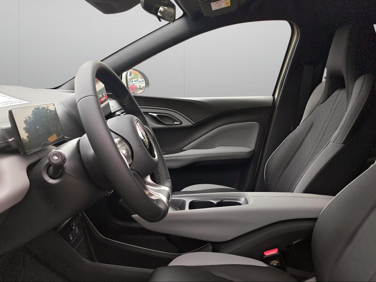 BYD DOLPHIN SURF