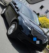 Land Rover Range Rover Velar 2.0 P250 - LED, Standheizung - Land Rover Range Rover Velar von privat