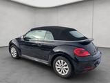 Volkswagen Beetle Cabrio - gebrauchte Cabrios in Kiel