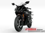 Yamaha R125 ltd. Race Edition *sofort lieferbar* - Offers