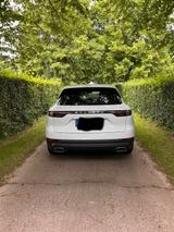 Porsche Cayenne 3.0 V6 1.Hand - Unfallfrei  - gebrauchte Porsche Cayenne aus dem Jahr 2020