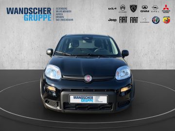 Fiat Panda 1.0 Mild Hybrid MY24 PDC TEMPOMAT SPURHALT