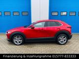Mazda CX-30 LED Navi Kamera Tempomat Sitzheizung - Mazda CX-30