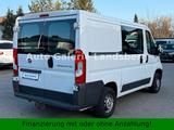 Fiat Ducato H1/L1 2.0D*Kastenwagen mit Fenster*AHK* - Fiat: 2.0