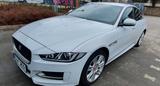 Jaguar XE 20d 180PS AWD R-Sport Automatik R-Sport - Jaguar XE in Essen