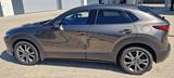 Mazda CX-30 2.0 e-SKYACTIV-X M-Hybrid AWD Selectio... - Mazda CX-30 von privat