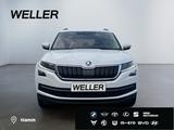 Skoda Kodiaq 2.0 TDI 4x4 DSG Clever *LED*hzb Fronts*AC - Skoda aus 2021