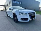 Audi TOP Audi S5 Coupe 4.2 V8 quattro Suzukagrau - Audi quattro: 2.5