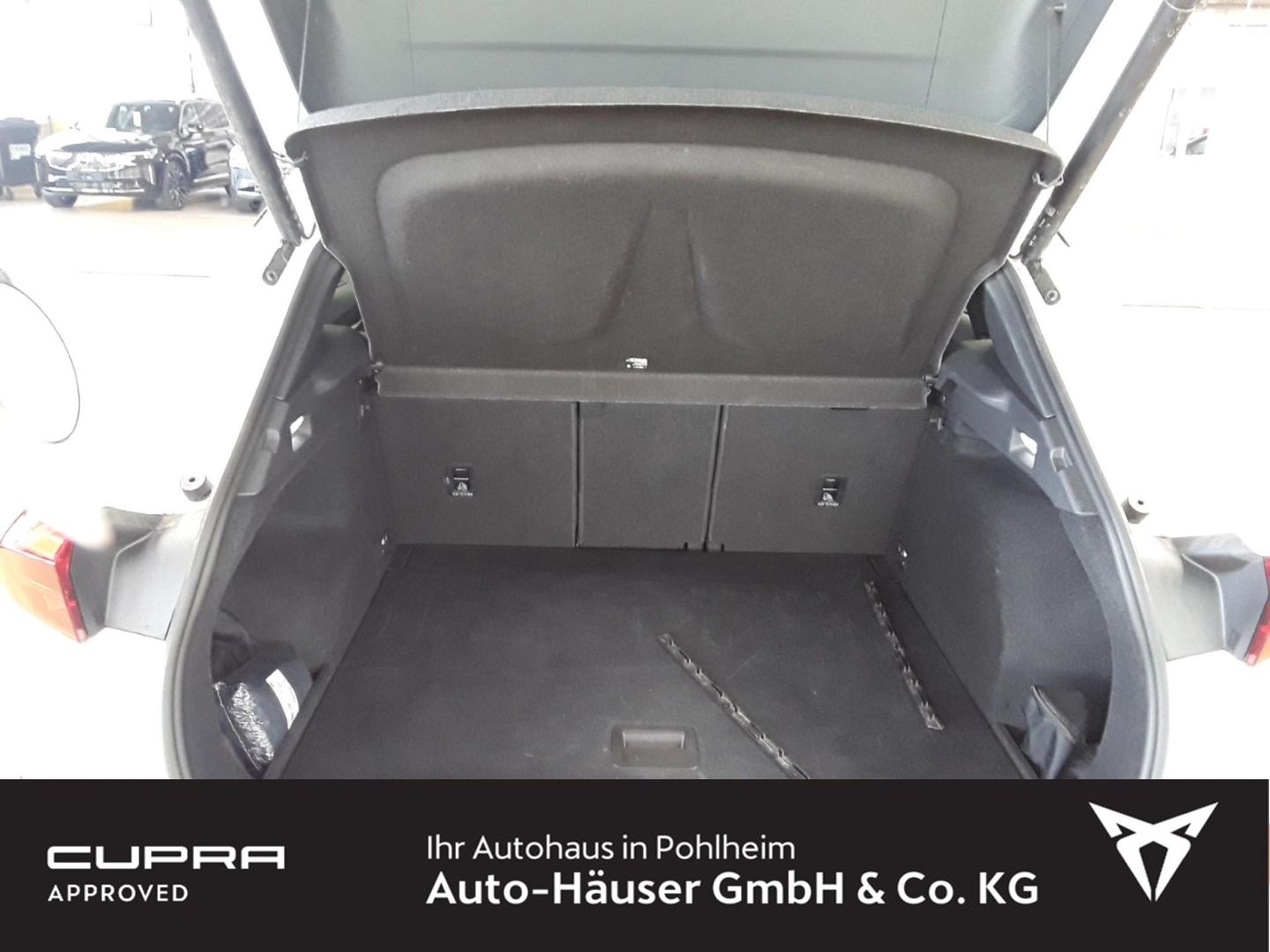 Cupra Terramar - Bild 9