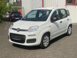 Fiat Panda Pop  1.Hand Klima Elektr. Fenster TÜV - Fiat Panda Gebrauchtwagen in Bielefeld