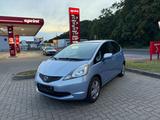 Honda Jazz 1.2 Klima  Neu TÜV - Honda Jazz in Dresden