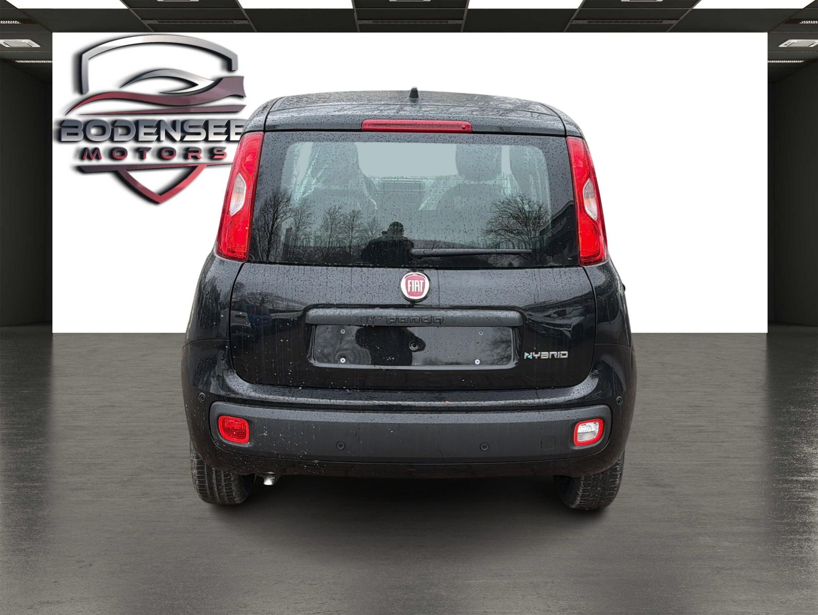 Fahrzeugabbildung Fiat Panda Pandina Icon