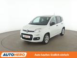 Fiat Panda 1.2 More *PDC*ALU*KLIMA* - Fiat Panda: More