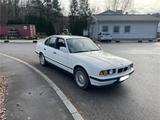 BMW e34 525i Automatik H Zulassung - BMW 525: E34 525i
