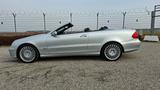 Mercedes-Benz Bi-Xenon Kompres. Avantgarde+Sportpaket 71.000km - aus 2006: Cabrio