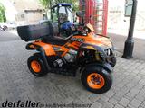 Dinli 450 R Schaltgetriebe - Quads bis 3.000 Euro