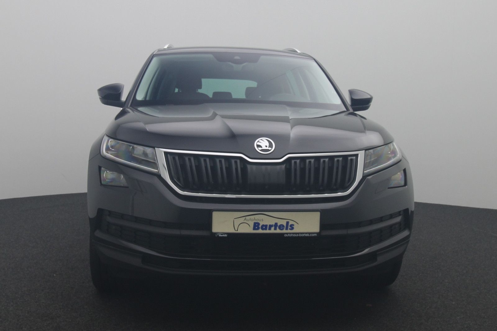 Fahrzeugabbildung SKODA Kodiaq Drive 125 4x4 DSG AHK Navi Standheizung