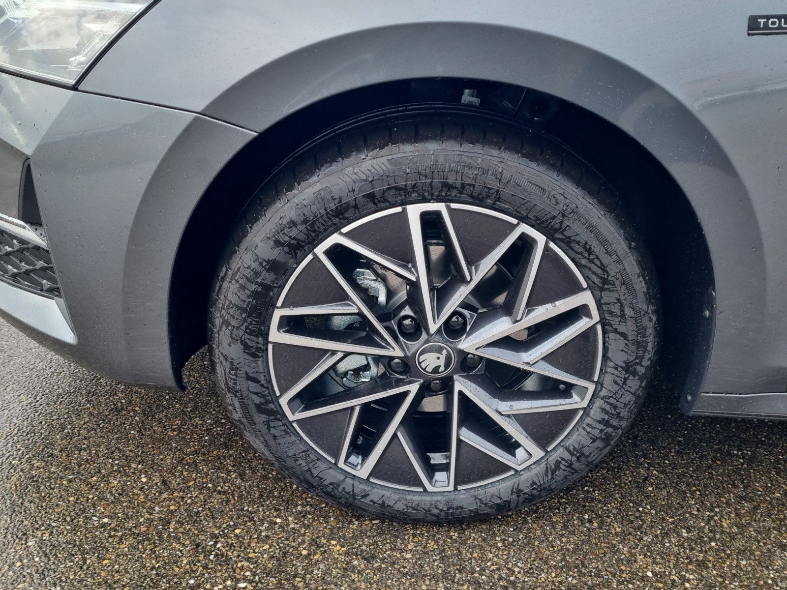Fahrzeugabbildung SKODA Octavia Combi Tour 2,0 TDI AKH Licht+Sicht+