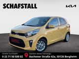 Kia Picanto 1.0 VISION DESIGN Navi Kamera Sitzheizun - gebrauchte Kia Picanto aus dem Jahr 2023