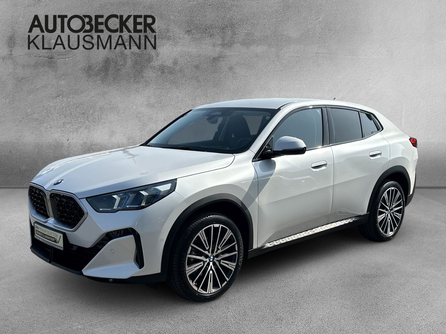BMW X2 xDrive20d ICONIC GLOW LC PROF HUD LMR20'' 360