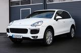 Porsche Cayenne S E-Hybrid AWD/BOSÈ/PANO/SHZ/SBL/TTW/KAM - Porsche Cayenne mit Hybrid-Antrieb: Geländewagen