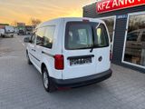 Volkswagen Caddy*TÜV NOV/25* LKW Zu. mit Fenster* - Volkswagen Caddy: Lkw