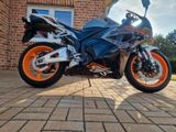Honda CBR 600 RR PC40 ABS X-RAY Service Neu!!! - Offers matching your search criteria
