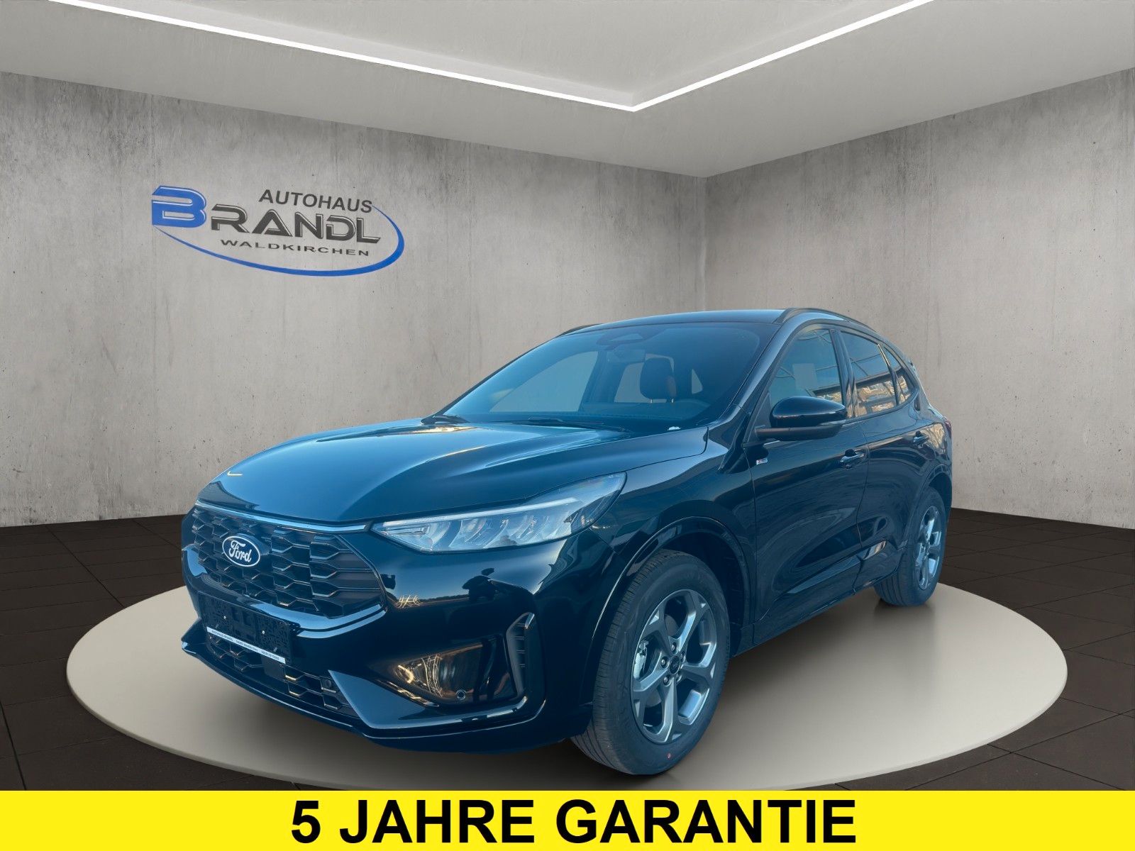 Ford Kuga 2.5 Duratec FHEV ST-Line CVT*Winter-Paket