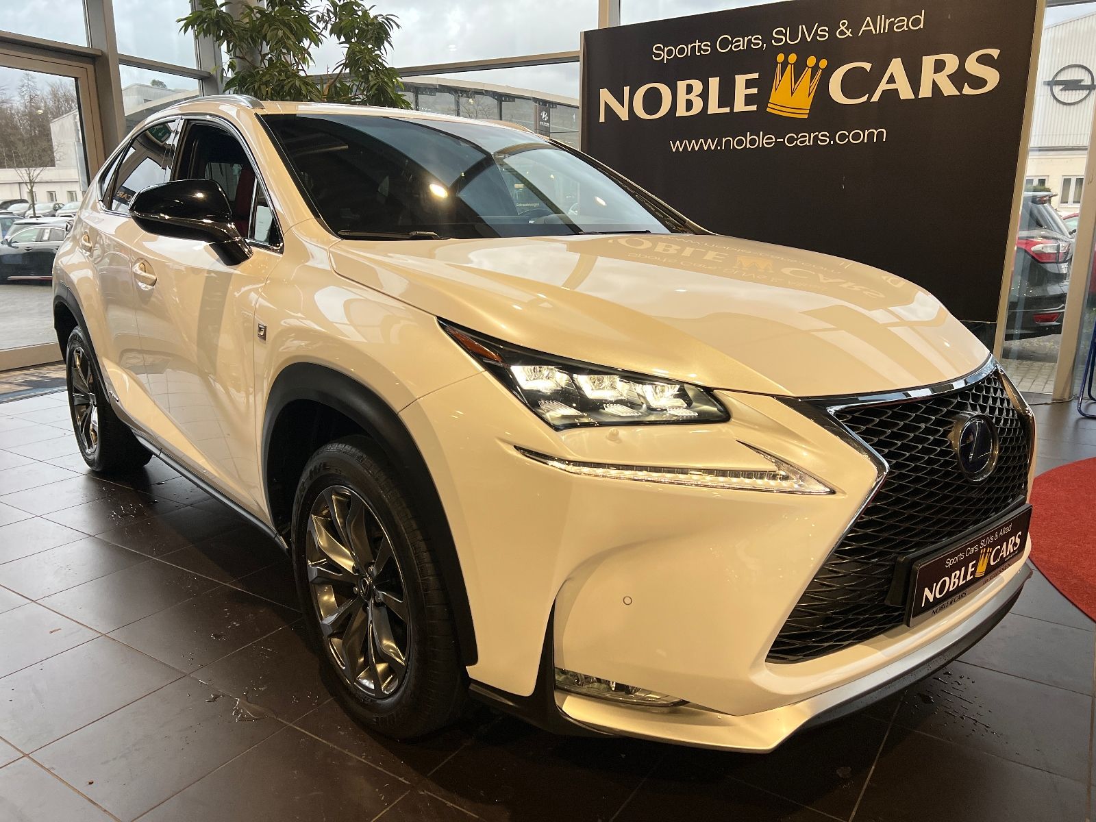 Fahrzeugabbildung Lexus NX 300h E-FOUR F Sport ACC HUD LEDER