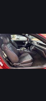 Ford Mustang 2.3 EcoBoost Auto -Unfallfrei,19 Zoll, - Ford Mustang: Ecoboost