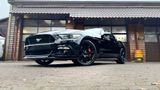 Ford 5.0 V8 GT*PREMIUM*LEDER*NAVI*XENON*GARANTIE*TOP - Ford Mustang: Premium