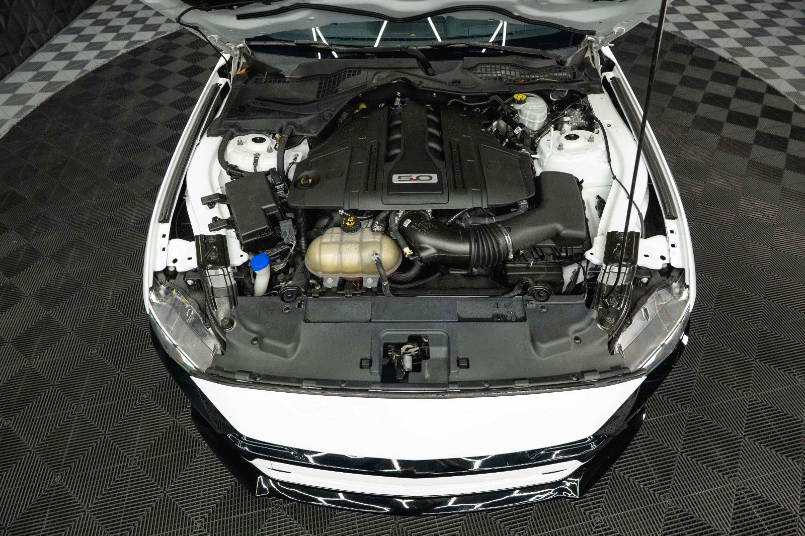 Fahrzeugabbildung Ford Mustang Shelby GT 500 5.0 V8 Modell 2024 *6Gang*