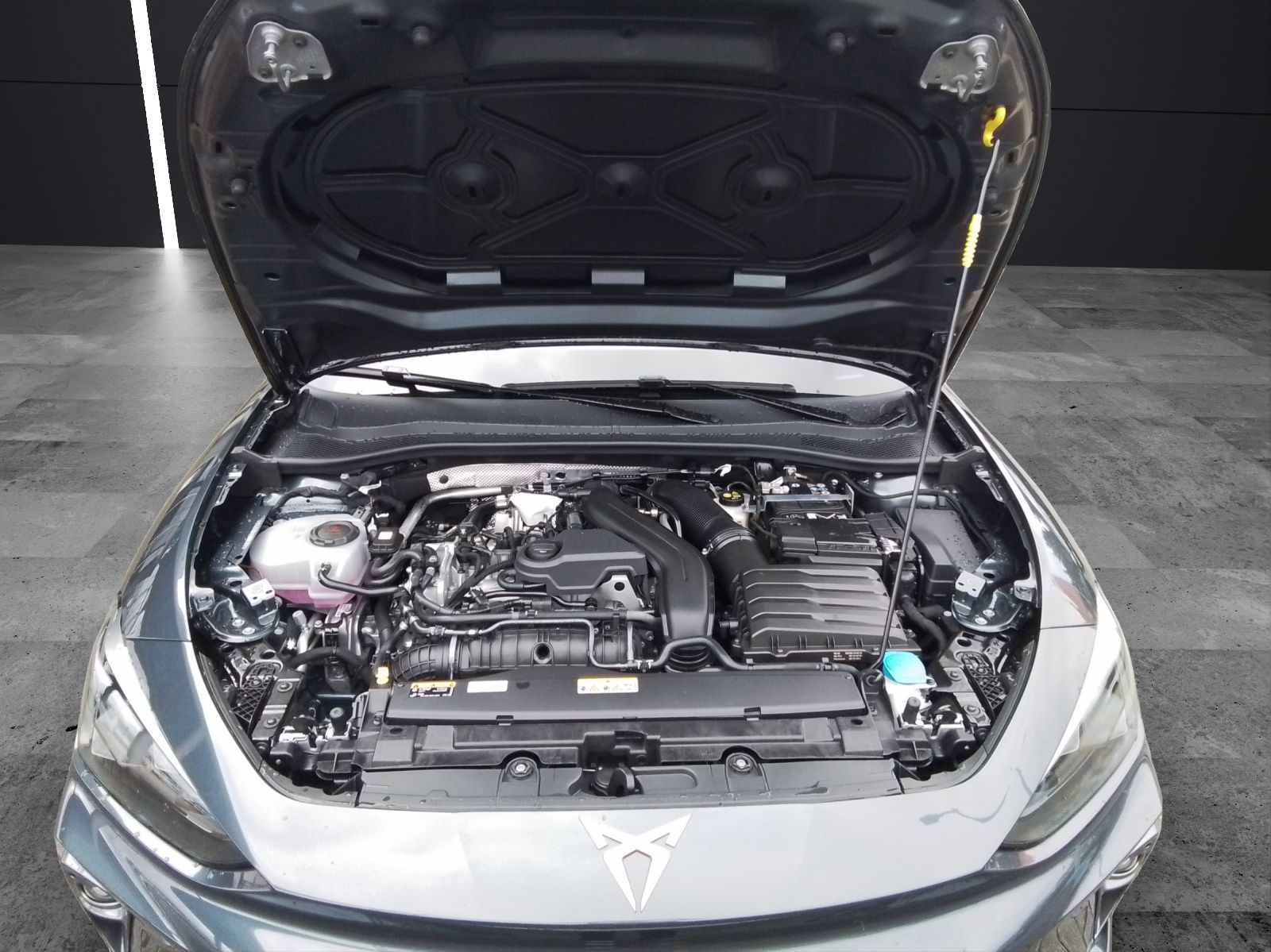 Fahrzeugabbildung CUPRA Leon Sportstourer 1.5 eTSI DSG PANO ACC LED KAME