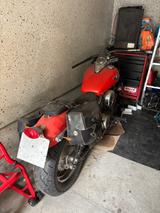 Kawasaki VN800 - KAWASAKI 2000 VN