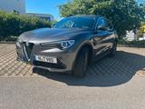 Alfa Romeo Stelvio 2.0 Turbo 16V 147kW - Vollausstattung! - Alfa Romeo Gebrauchtwagen von 2019