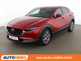 Mazda CX-30 2.0 Skyactiv-G Mild-Hybrid Selection 2WD - Mazda CX-30 Gebrauchtwagen in Köln