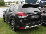 Subaru Forester 2.0ie Mild-Hybrid Comfort Navi ACC - Subaru Forester mit Benzin-Antrieb: Automatik