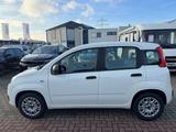 Fiat Panda Easy+ZAHNRIEMENNEU+KLIMA+ALLWETTER+DAB+4SI - Fiat Panda: 4.4