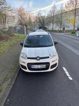 Fiat Panda - Fiat Panda: Weiß, Sitzheizung