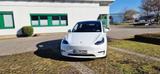 Tesla Model Y Performance AWD Autopilot - gebrauchte Tesla Model Y aus dem Jahr 2024