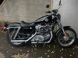 Harley-Davidson Sportster XL 883  - HARLEY-DAVIDSON 2003 SPORTSTER 883
