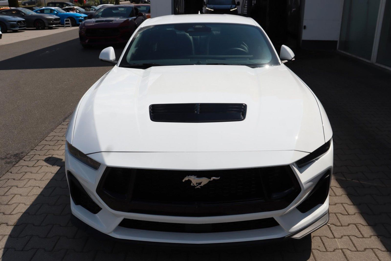 Ford Mustang Fastback 5.0 MagneRide 4,99% FIN* imagem 2