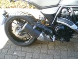 Ducati Scrambler Icon Dark 2025-neu/nur 296 KM-privat - DUCATI SCRAMBLER ICON DARK