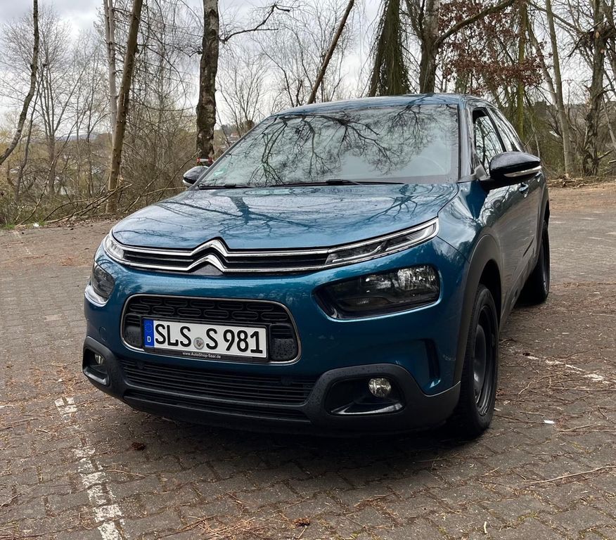 Image of Citroën C4 Cactus