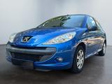Peugeot 206 + Basis - Peugeot 206: Blau