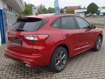 Bild 6 Ford Kuga ST Line NAVI,SHZ v u. h, beheiz. Lenkrad