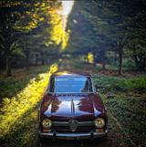 Alfa Romeo Giulia 1300 TI - Alfa Romeo Gebrauchtwagen von 1970